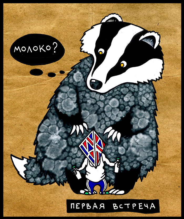 Барсучье молоко | Пикабу