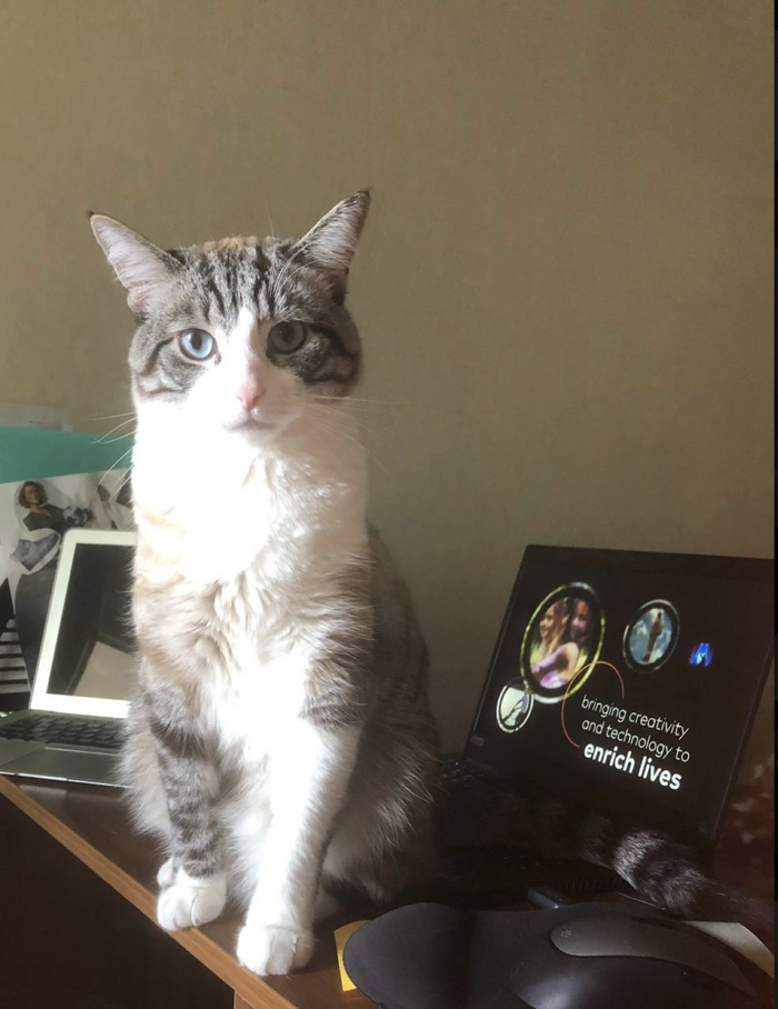 Ответ на пост «Руководство»