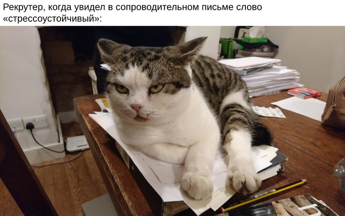 Ошибки в сопроводительных письмах, которые делают рекрутерам больно