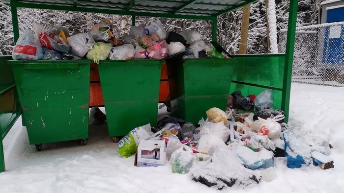 Где деньги мужья?