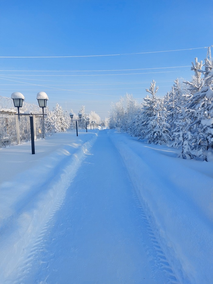 По дороге в столовую