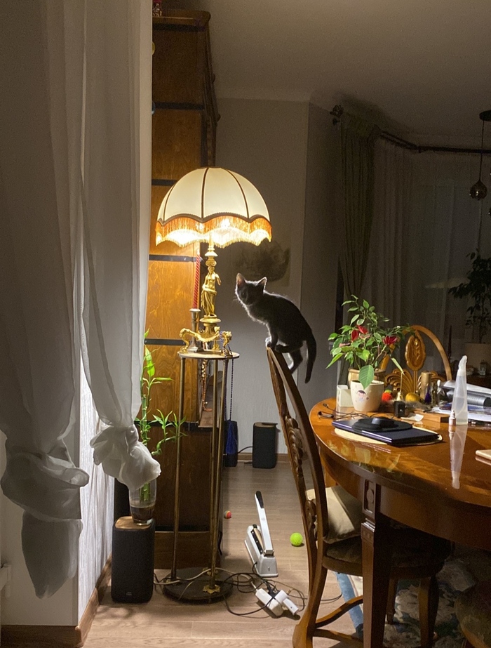 ����������