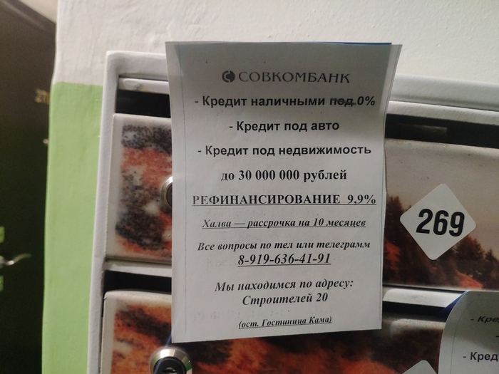 Обнаглевшие | Пикабу