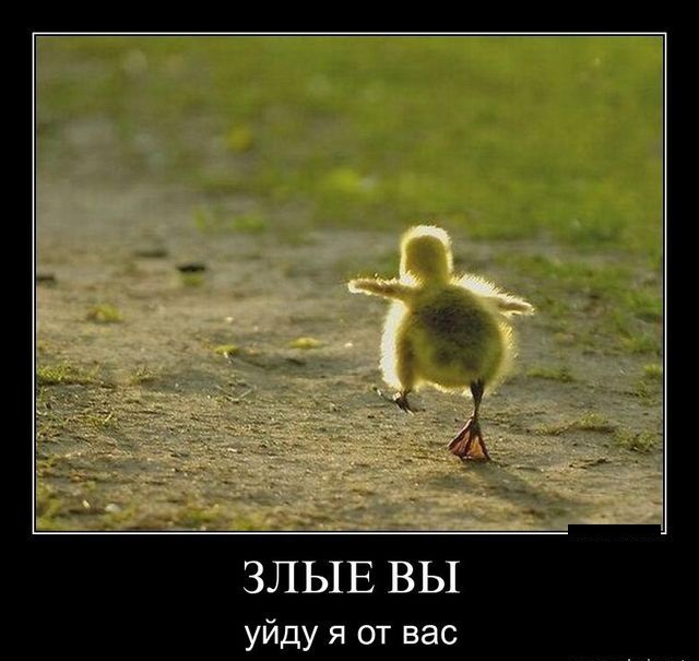 � ������� �� ������������...