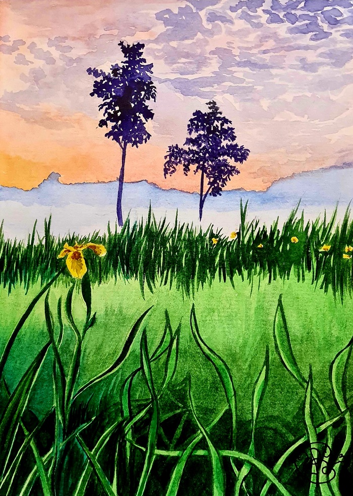 ������ ����