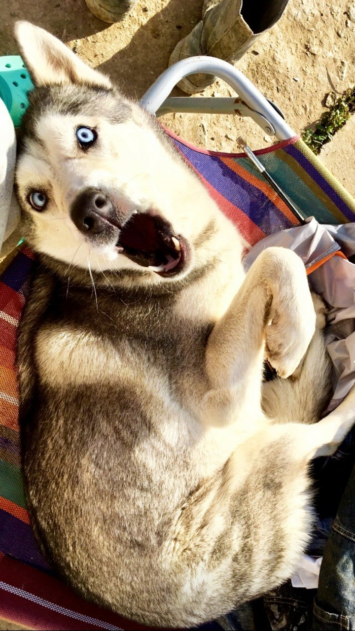 �������