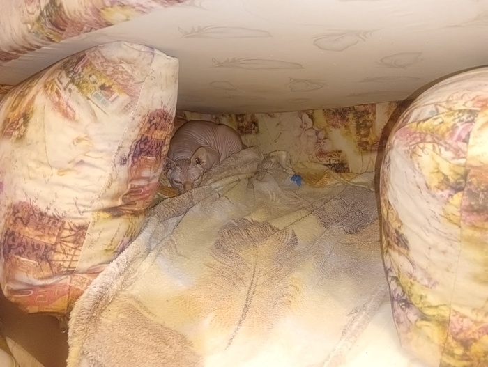        , , ,  ,  