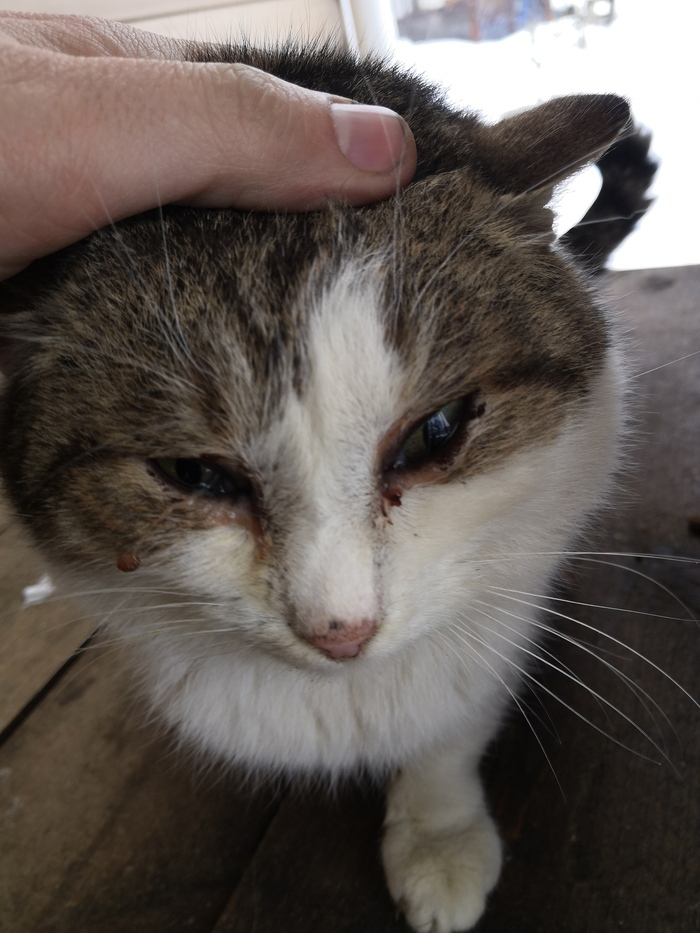 ���. ��������� ��� ����