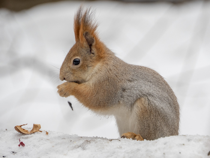 �������