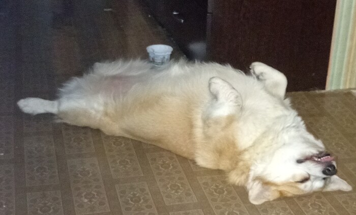 ��� ������� � �������