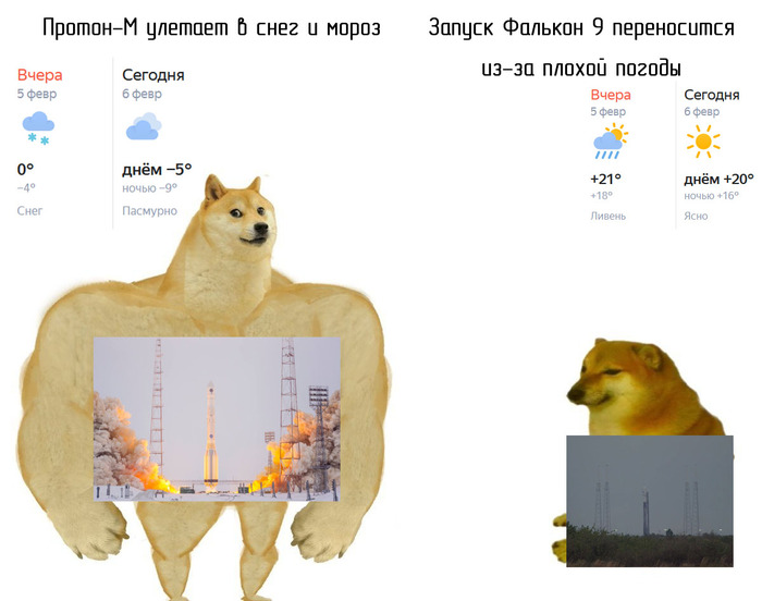    ,  , SpaceX, , ,   , , Doge