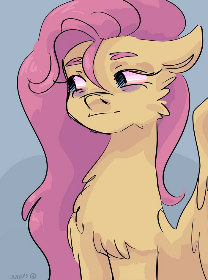  My Little Pony, Fluttershy
