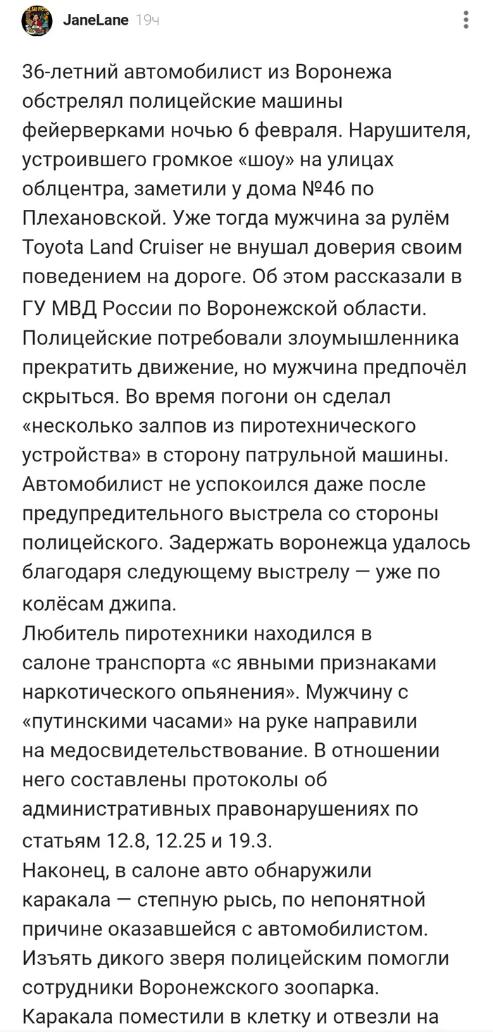 Погоня: истории из жизни, советы, новости, юмор и картинки — Все посты |  Пикабу