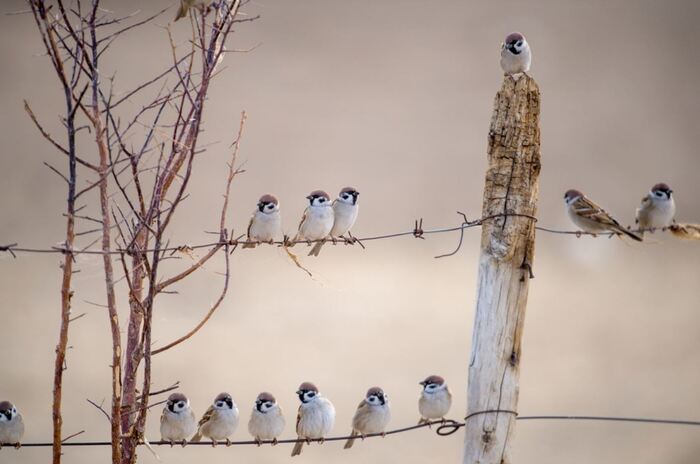 Смекнули ...