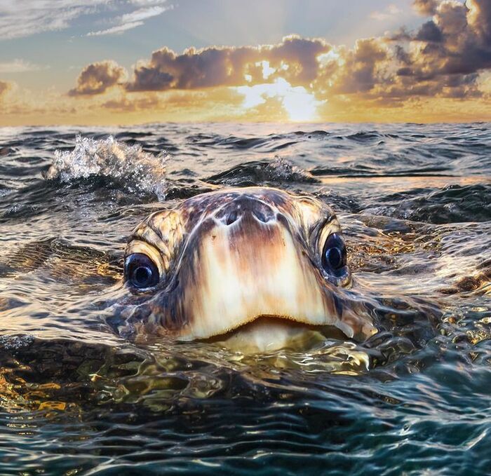 Если долго смотреть на море - море начинает смотреть на тебя