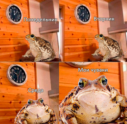 ,  