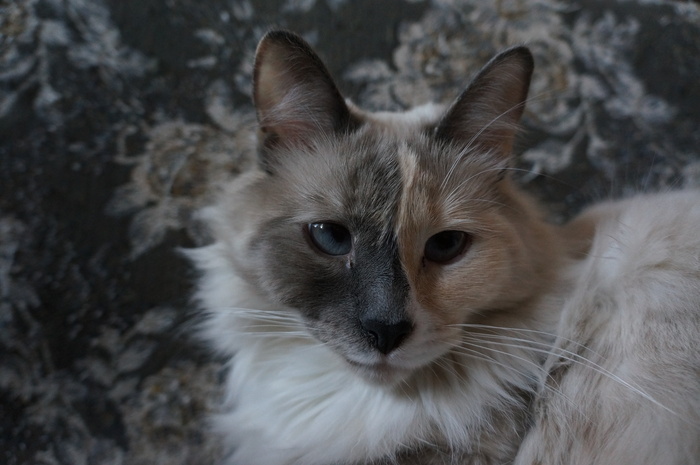 ��������� ����� ���������� ...