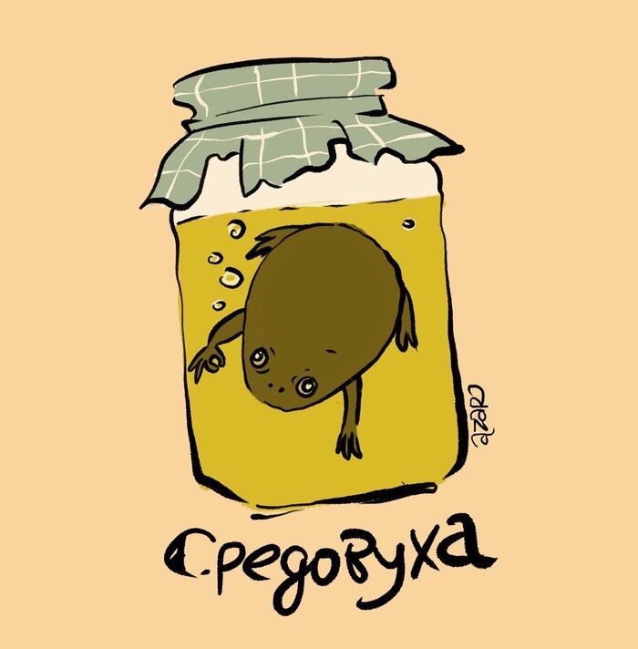Средовуха