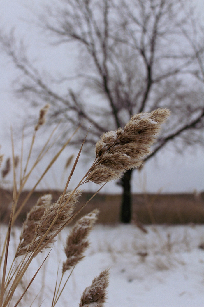 ���� ��� �����������