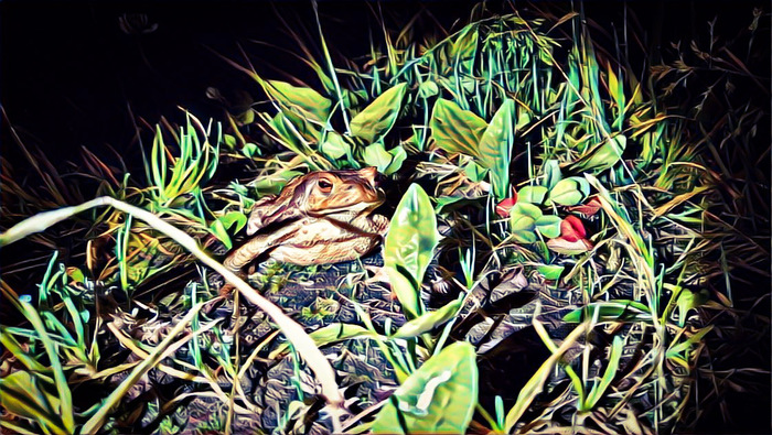 Ну допустим, -КВА!