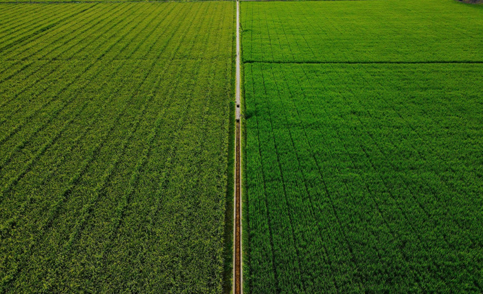 Сведения о сельхозземлях России будут доступны бесплатно на Госуслугах