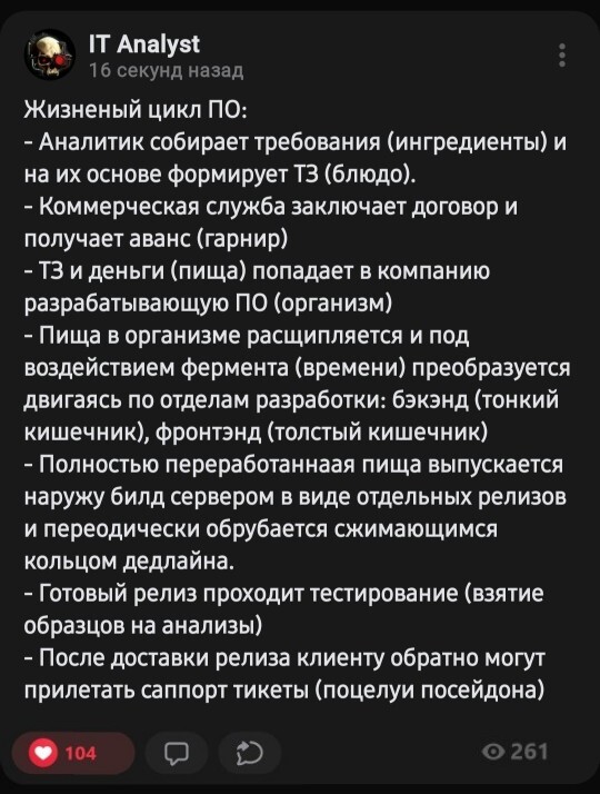 Продолжение поста «Жизненый цикл ПО»