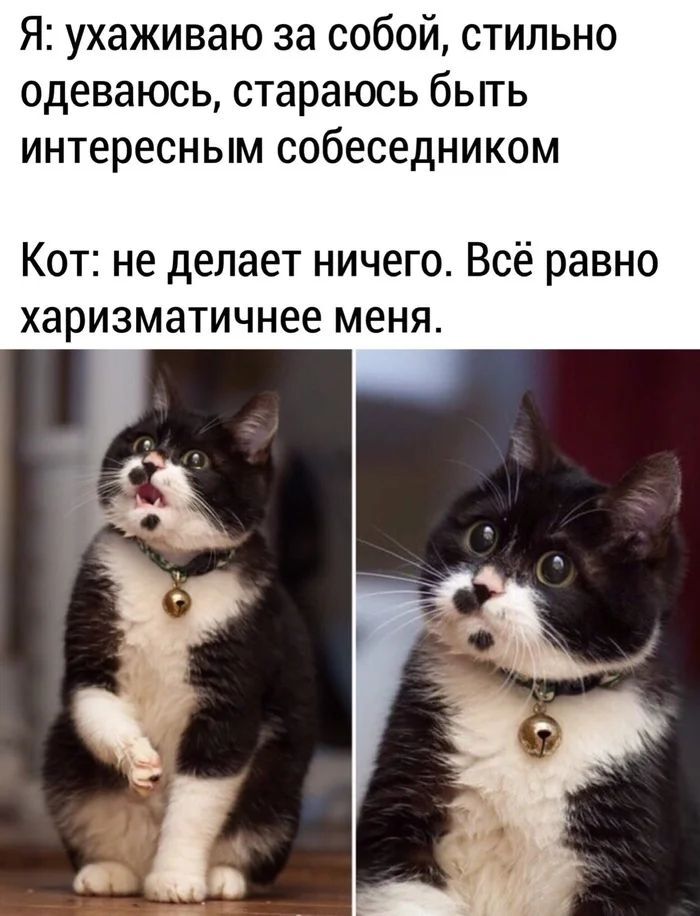   , , ,   