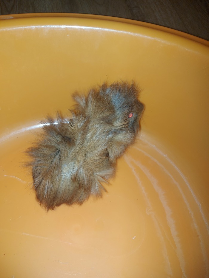 Жители г. Спасск-Дальний и села Спасское и спасского района заберите ...