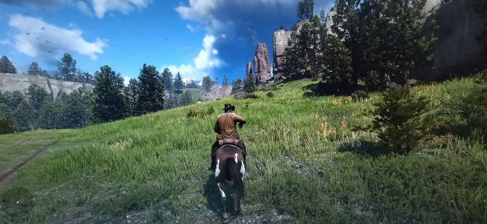     red dead redemption 2 (rdr2) Red Dead Redemption 2, , 