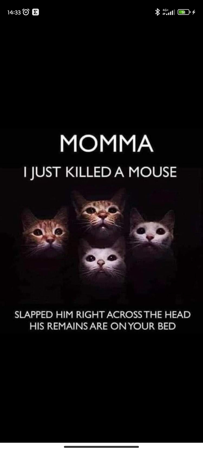 &quot;Momma...&quot;