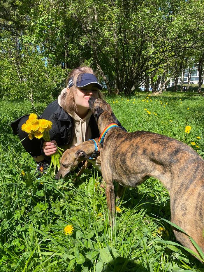 ����� ��� � ������ ��������� ��������� "dog friendly"?