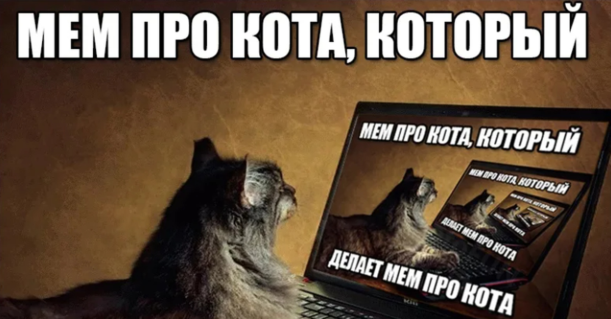 Песня котикам компьютеры не нравятся текст. Мемы с котом. Кот Мем. Мемы про котиков. Мемы про котиков и работу.