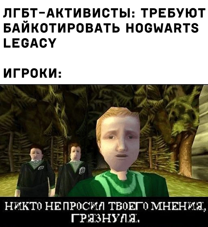       , Hogwarts Legacy, , 