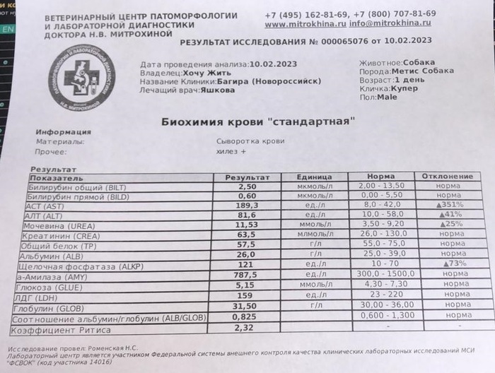 ������ ��������� ��� ������