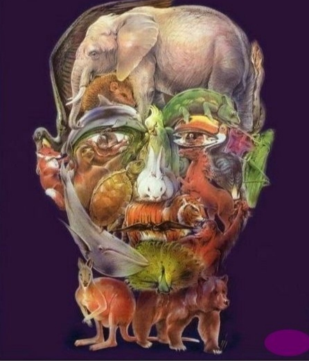 ������� ��������