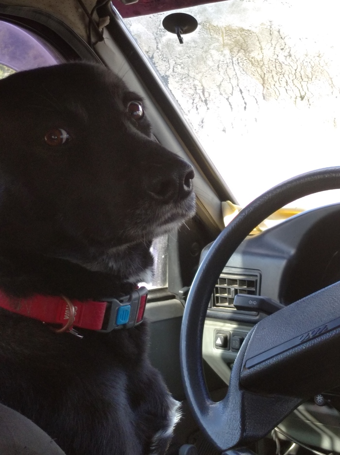 ����� �� ���� ���� ��������� ����� �� ��������?�