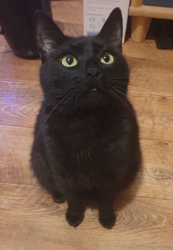 ������� ������ � ����� ��� ��������