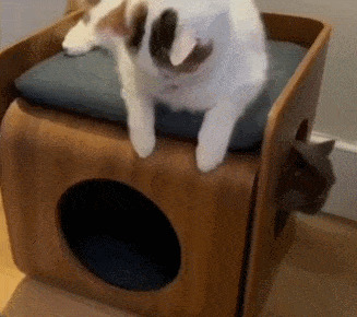      , , , 