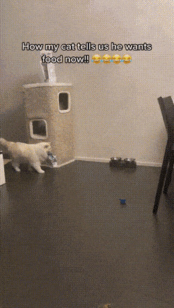      , , , 