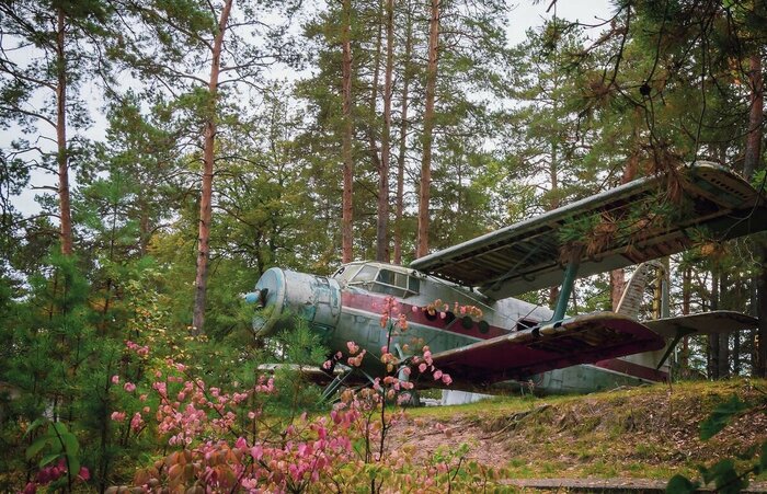 Ан-2. Последний герой российской авиации. Самый народный самолет и его непростая история Авиация, Самолет, Полет, Аэропорт, Ан-2, Рейс, Военная техника, Техника, Кабина пилота, Пилот, Вертолет, Аэродром, Взлет, Посадка, Ракета, Технологии, СССР, Сделано в СССР, История авиации, Танки, Длиннопост