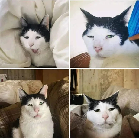 С понедельником!