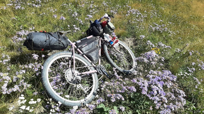 Crust Bombora | Пикабу