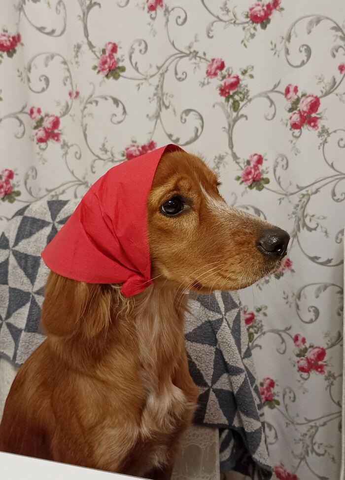    , , 