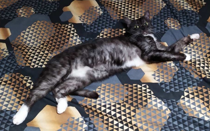 ������ ���� ������������ ������)))