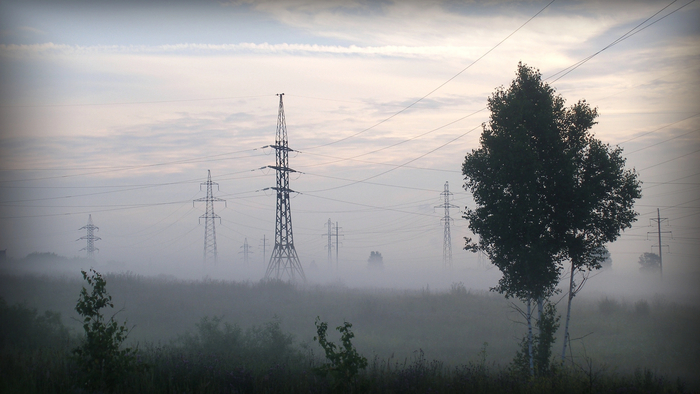 ����� ����