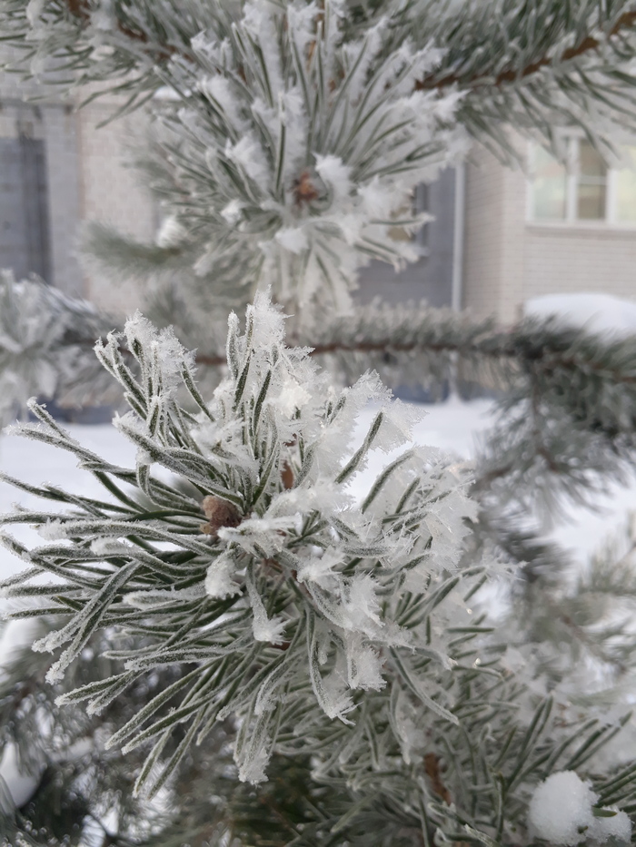 ����� �����