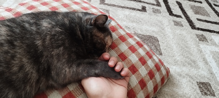 ������� ���