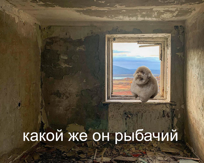     ,  