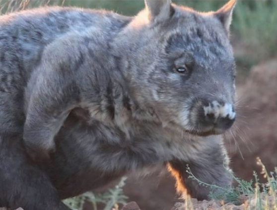 ���� ���� ����������� ����� �� ������ �� ��������, ���� �� ������ �������� �� ����� � ����������