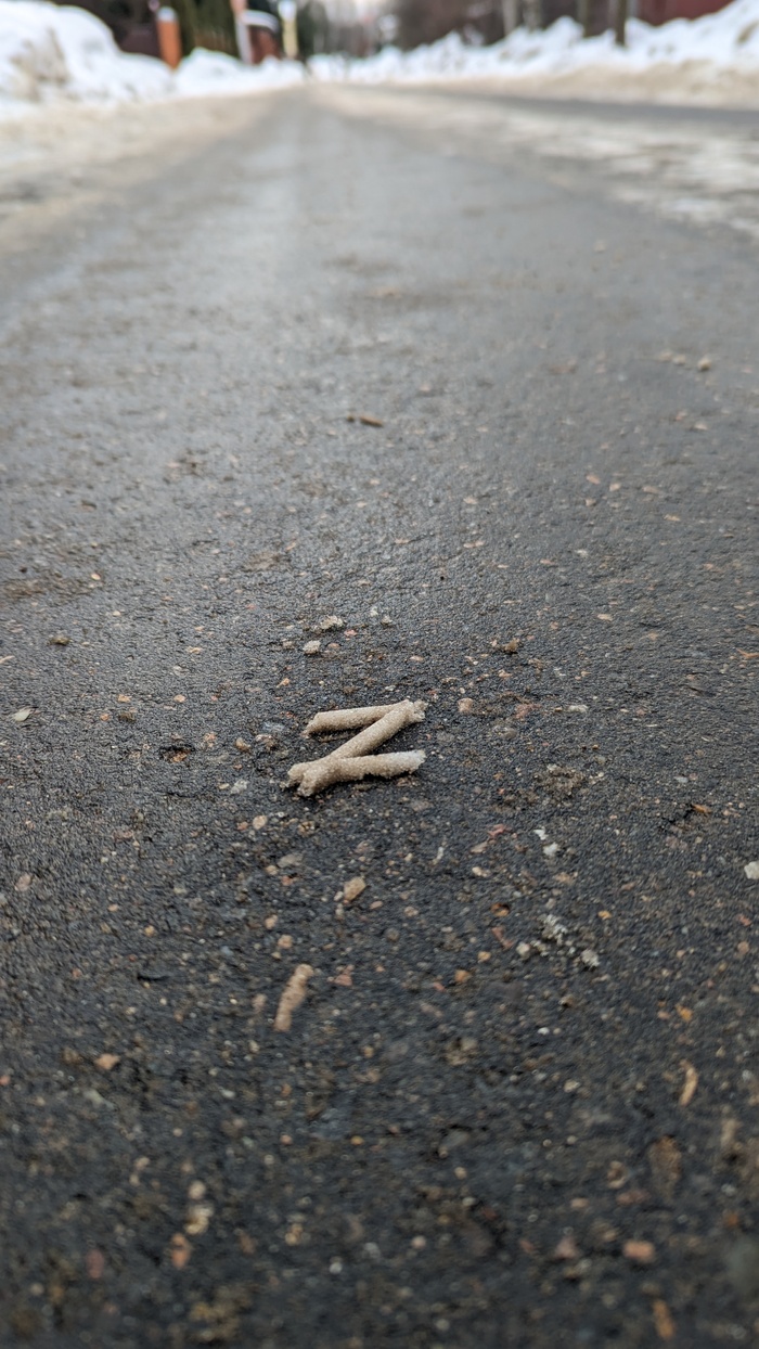 Зорро наследил в Подмосковье